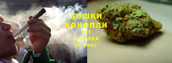 MESCALINE Белокуриха